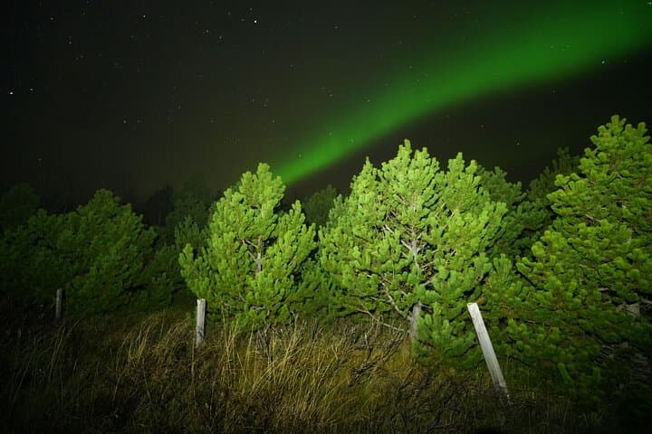 Aurora Borealis near Geysir on the Golden Circle