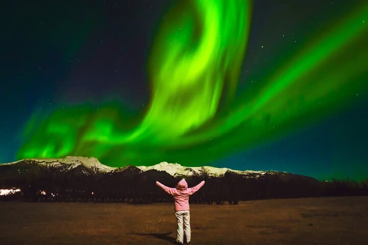 Reykjavik: Northern Lights Coach Tour with Live Forecast