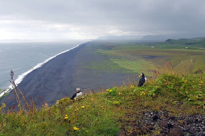 South Coast. Private Day Tour from Reykjavik