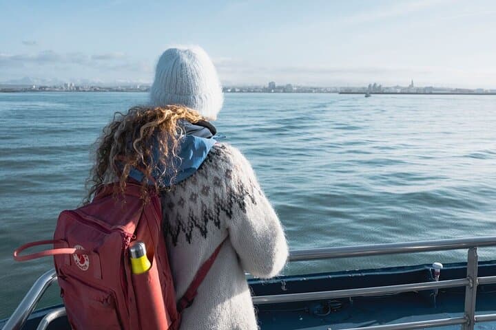 Whale-Watching Boat Tour with Expert Guide from Reykjavik