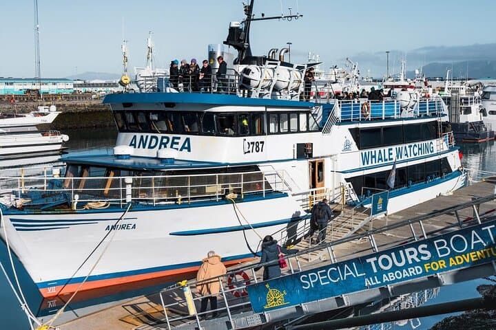 Whale-Watching Boat Tour with Expert Guide from Reykjavik