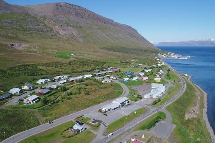 Seal Watching and Scenic Fjord Tour from Isafjordur Port