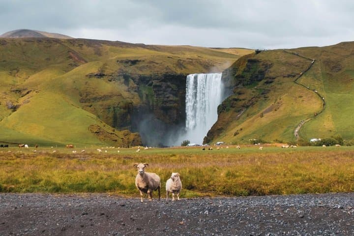 Reykjavik: Private South Coast Waterfalls, Beach and Glacier Tour