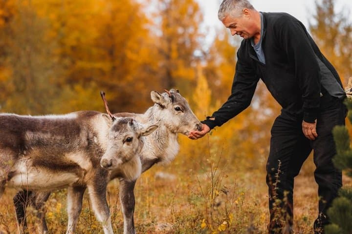 Seyðisfjörður: Puffins, Reindeer & Eastfjords Tour