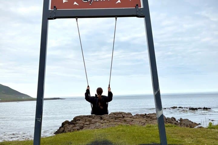 Seyðisfjörður: Puffins, Reindeer & Eastfjords Tour
