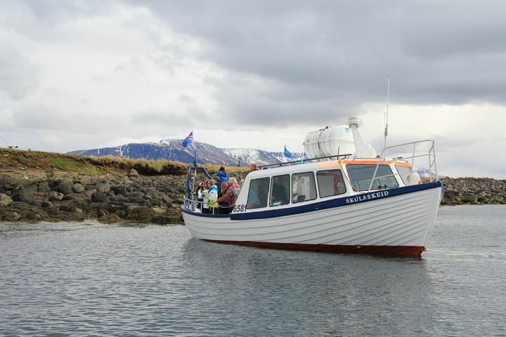 Puffin Express 1-Hour Close Encounter from Reykjavik