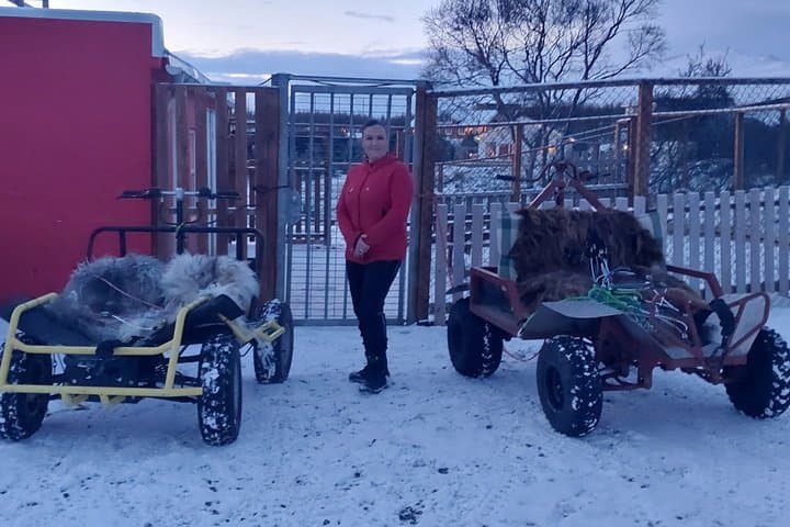 Dog cart-ride in Akureyri