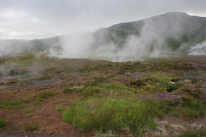 Reykjanes Volcanoes and Cliffs Small Group Tour