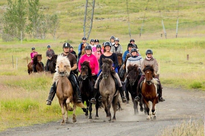 The Siggi Tour from Reykjavík: 1.5 to 2-Hour Ride