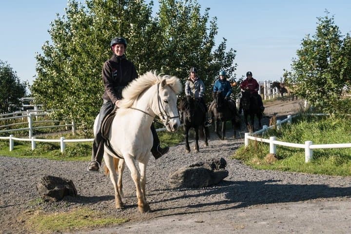 The Heritage Tour from Reykjavík: 1.5 to 2-Hour Ride