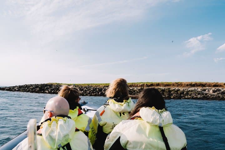 Puffin Tour by RIB Speedboat — Express Tour from Reykjavík