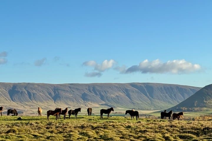 Private Golden Circle Tour from Reykjavik