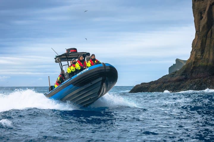 1 Hour RIB Boat Tour
