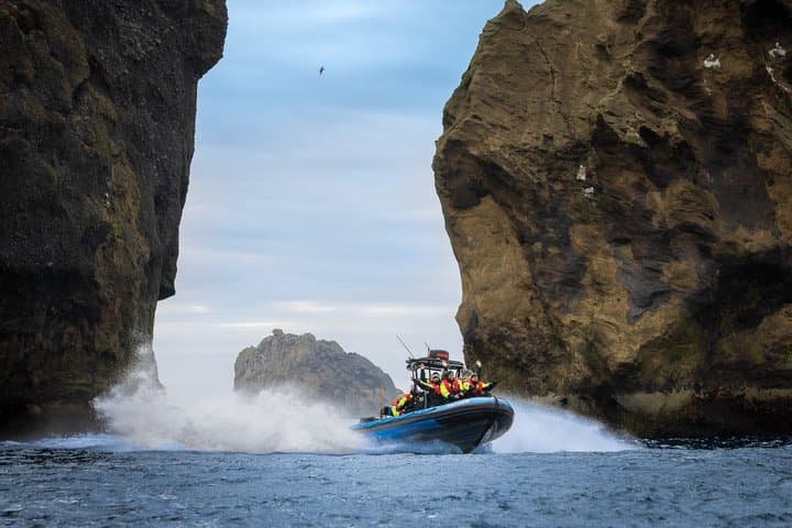 1 Hour RIB Boat Tour