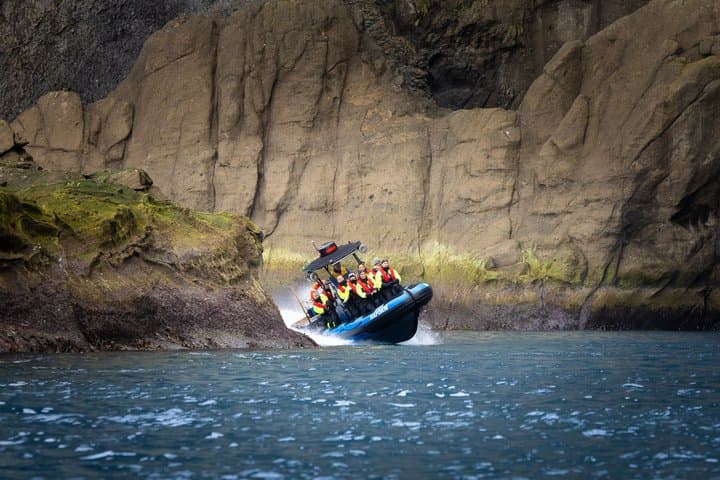 1 Hour RIB Boat Tour
