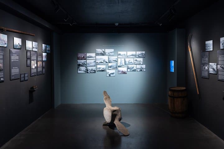 Húsavík Whale Museum Ticket