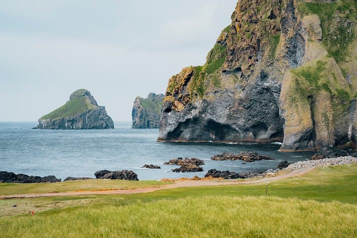 Vestmannaeyjar, Puffins & Volcanoes Small Group Day Tour