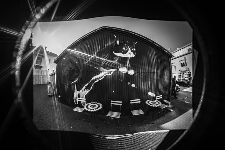Private Reykjavik Street Art Walking Tour Backstreets and Stories