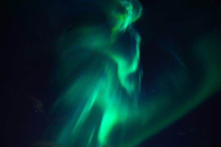 South Coast and Northern Lights: Private Day Tour from Reykjavik