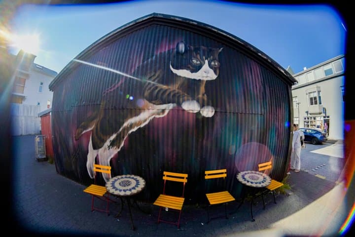 Private Reykjavik Street Art Walking Tour Backstreets and Stories